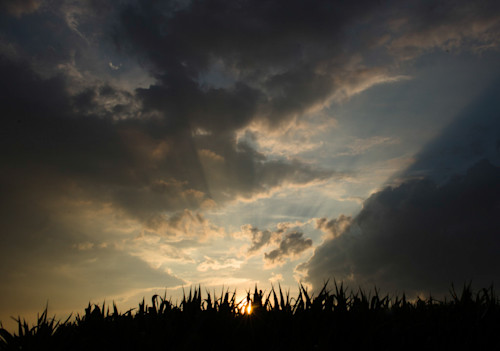 Ls corn field sunset rpm2fm