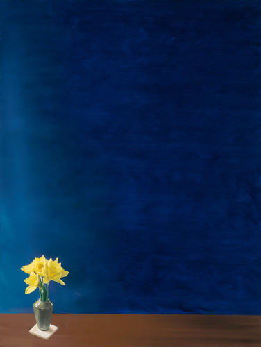 20587 brendan kramp 7   study in blue with daffodils 100mb sbikzt