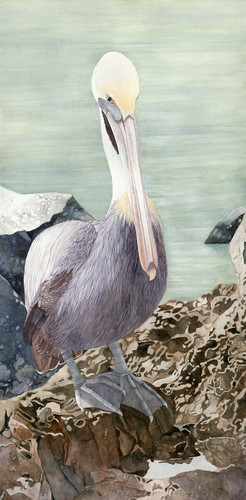 Pelican in Ground Effect : Sandra Watercolors™ : ORIGINAL PAINTING