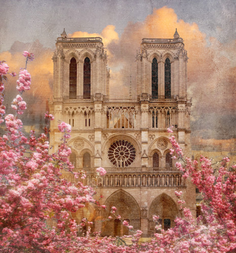 Notredamespringblossomsbymandywilliams bhj3zs