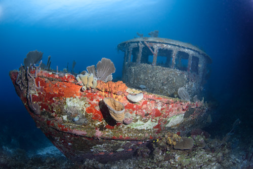 Honduran shipwreck mzasx0