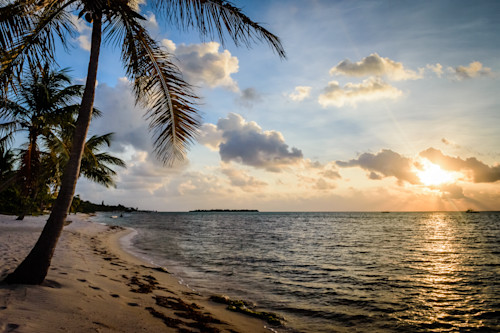 Tropical sunrise nrpqrm