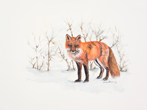 The winter fox hires rq3rdx