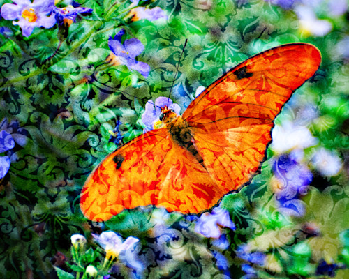 Magical orange butterfly rhi9hs
