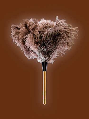 Dh cleaning featherduster3b edit nuijkf