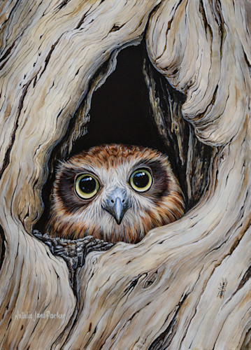owl in tree hole drawing