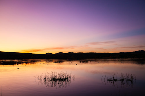 Prescott img 7248 pwoezf