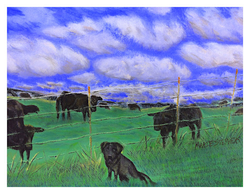 Black lab with cows for digital print on 8.5x11 120 pound coated cover stock majopq
