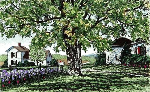 July Ii Art | Carol Collette