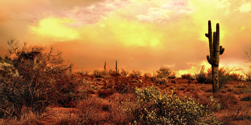 Desert afterglow superstition wilderness arizona rz87ca