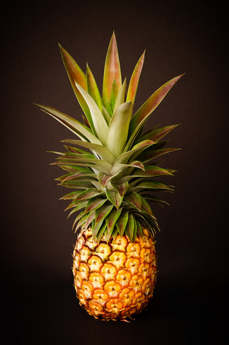 White pineapple king 2x3 wwhqiv