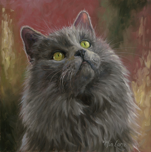 Cat portrait by mia lane u0brbw