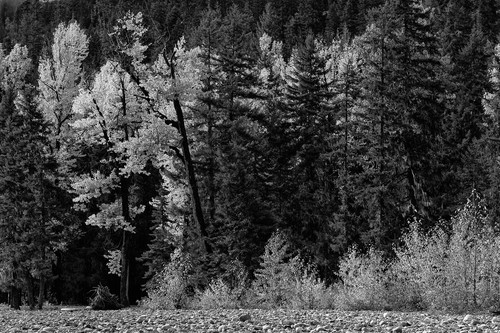 Autumn colors cle elum river washington 2012 adhdby