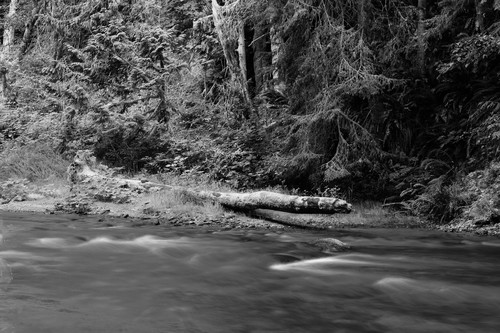 Lyre river 7 olympic peninsula wa july 2013 k8x05e