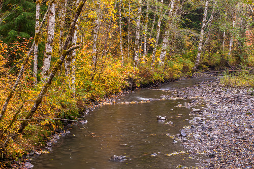 Autumn colors deer creek washington 2015 xxl0gr
