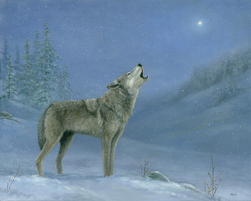 Wolf lwlhui