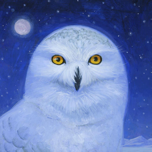 値下げ　アールビバン　版画　てぃんくる　SNOWY OWL 値下げ アールビバン 版画 てぃんくる SNOWY OWL - メルカリ