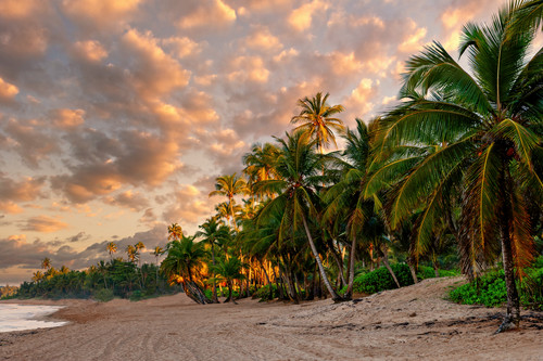 Deserted beach in southern puerto rico fxrlnq