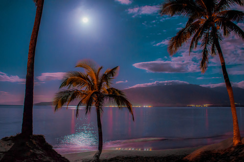 Maui moonlight magic hwp046 f0rwsg