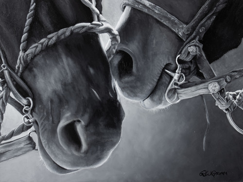 Rochelle w grimm horse noses grayscale m8xgv7
