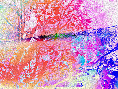 Under the trees rainbow remix mfnvip