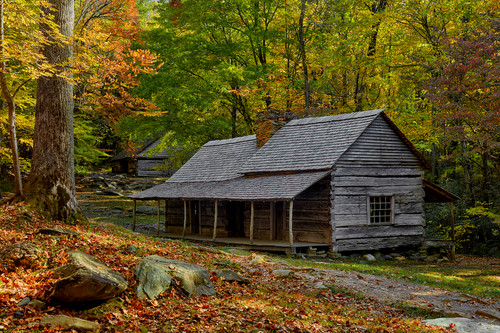 Ogle Place after good Spring Rain - Dogwoods Great Smoky Mountains