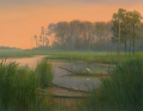 Egret.blackwater14x18 jegzjq