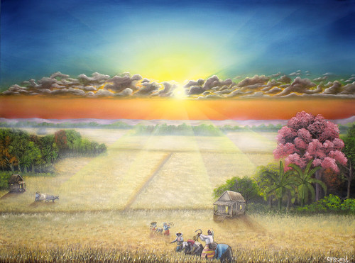 The harvest y6iraa