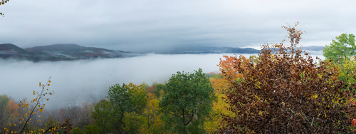 Misty pano x6roay