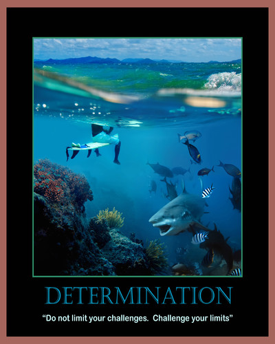 Determination ngkw8b
