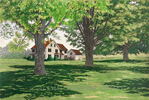 July Ii Art | Carol Collette