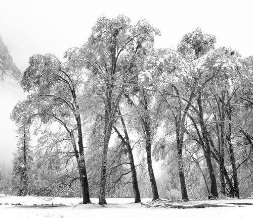 Imgp3627 ag49cf