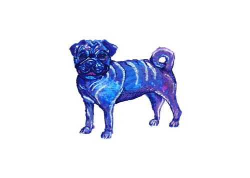 Pug blue and purple ink 5x7 hcfzlj