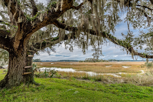 Full size photo 1dec2ember 31 2018 giadzk