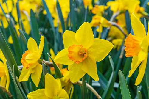 Full size photo 82march 24 2019 yqgog8