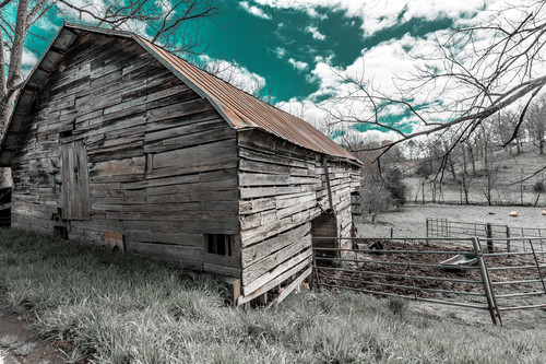 Full size photo 23march 26 2019 2 bcnbky