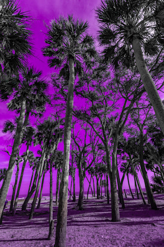 No watermark 10january 01 2019 lby9iy