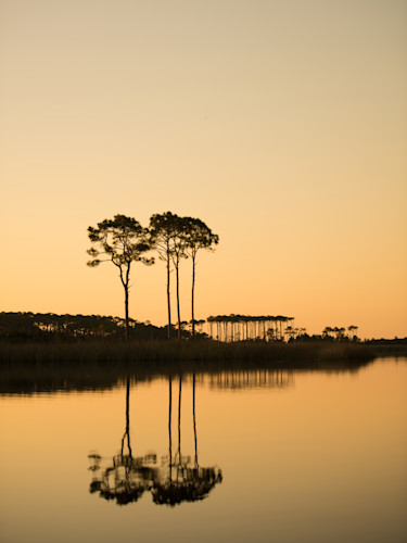Chandler williams   western lake sunrise 30x40 t3vwex