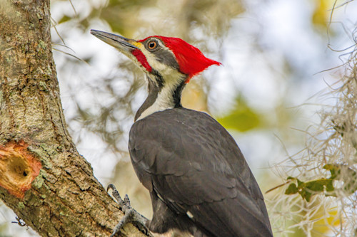 Camp mack december 2020  22782 amzchy