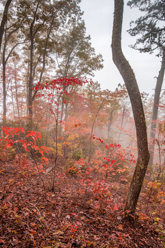 Southern countryside   12 c6utyz