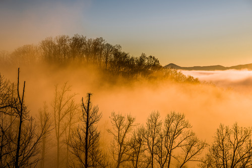 Southern countryside   84 ybs21u