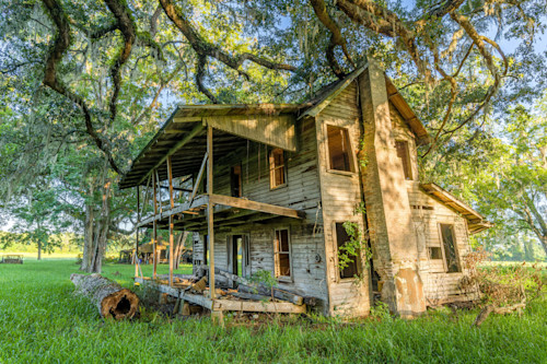 Fanning springs trip  3 inuv8g