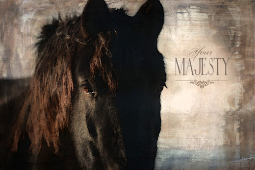 Horse black majesty cypfdg
