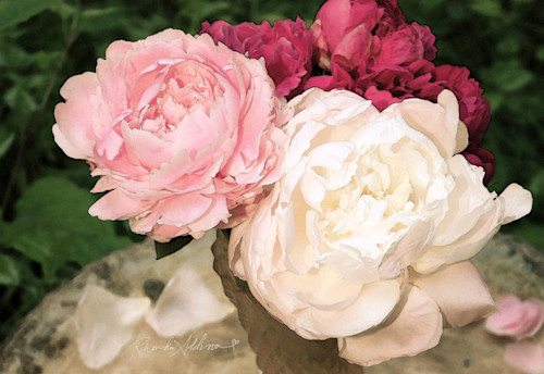 Peonies s fknzqy