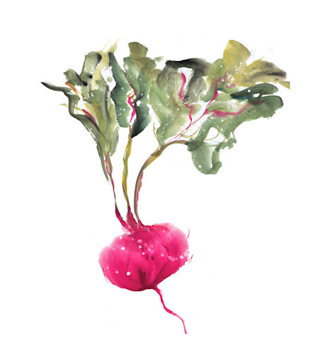 Beets  high res rgb gigapixel art scale 0 50x for merch o1vntu