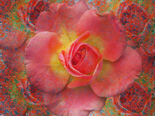 E9731631 2f15 4ef1 b418 85a62f3e16c4 ttr3j2