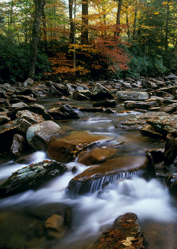 Smoky creek h1fhlc