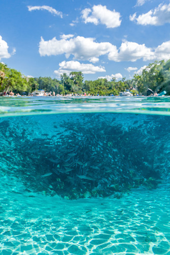 Silver springs underwater 0527 cudhie