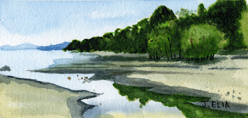 Reflectiveestuary300 zc9by0