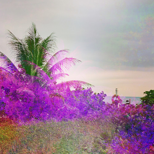F0a5d023 7ac7 4be8 bdbc a264c3e61809 vbwo2w